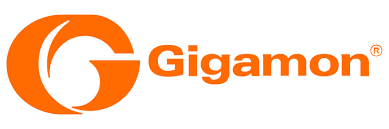 https://enterpriseti.com/wp-content/uploads/2021/02/gigamon.png